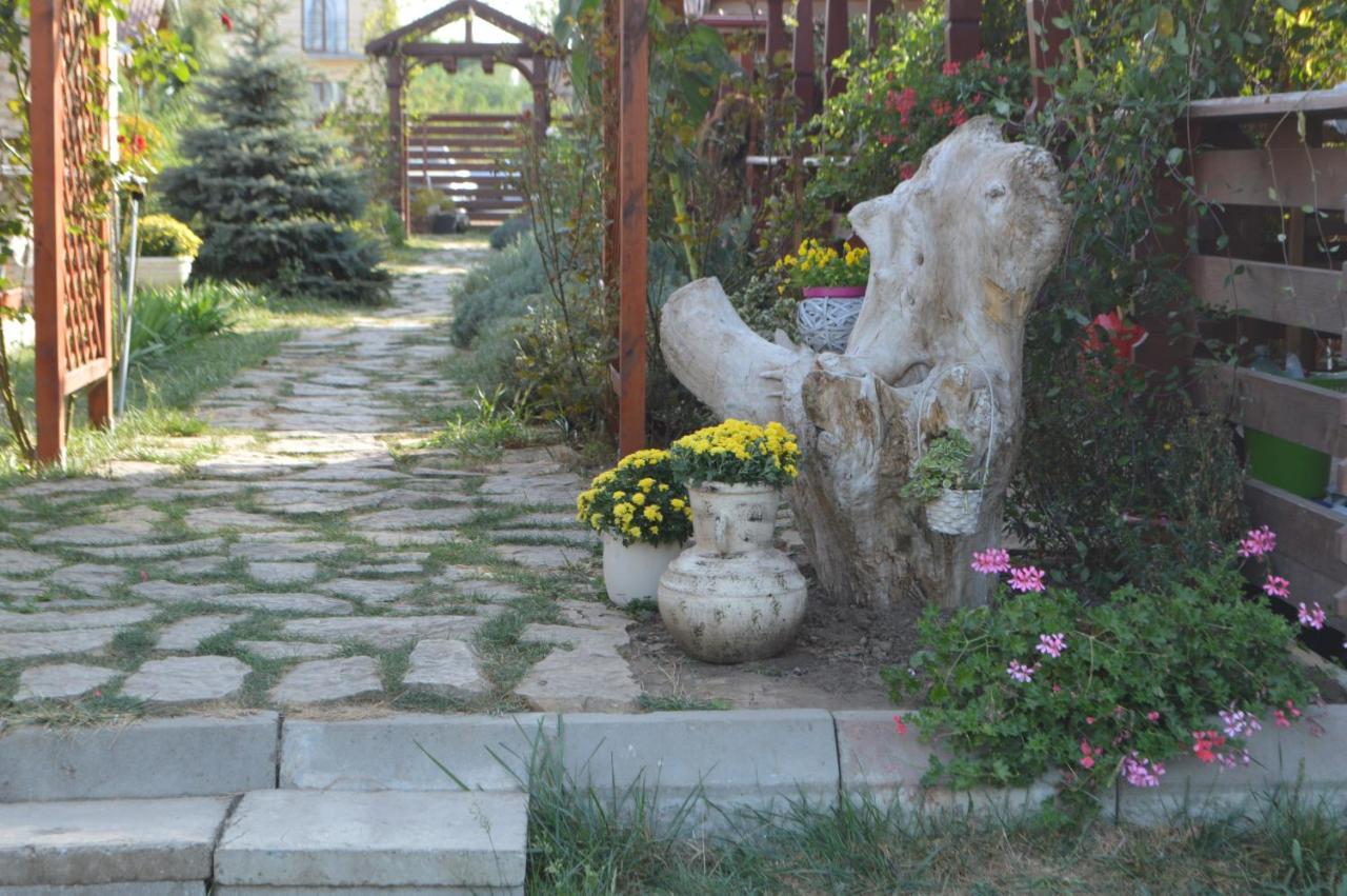 Cabane De Lemn Costinesti Luaran gambar