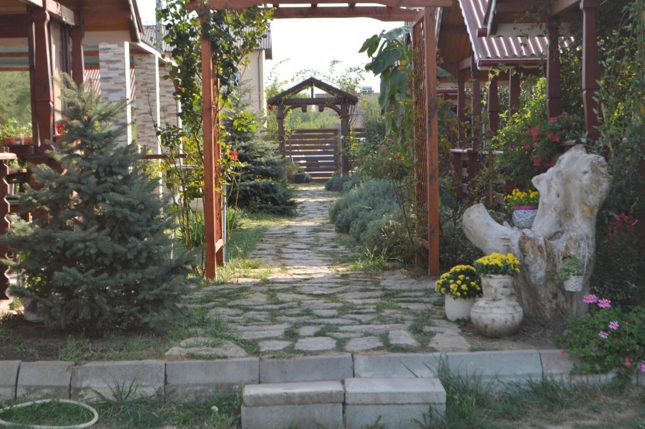 Cabane De Lemn Costinesti Luaran gambar