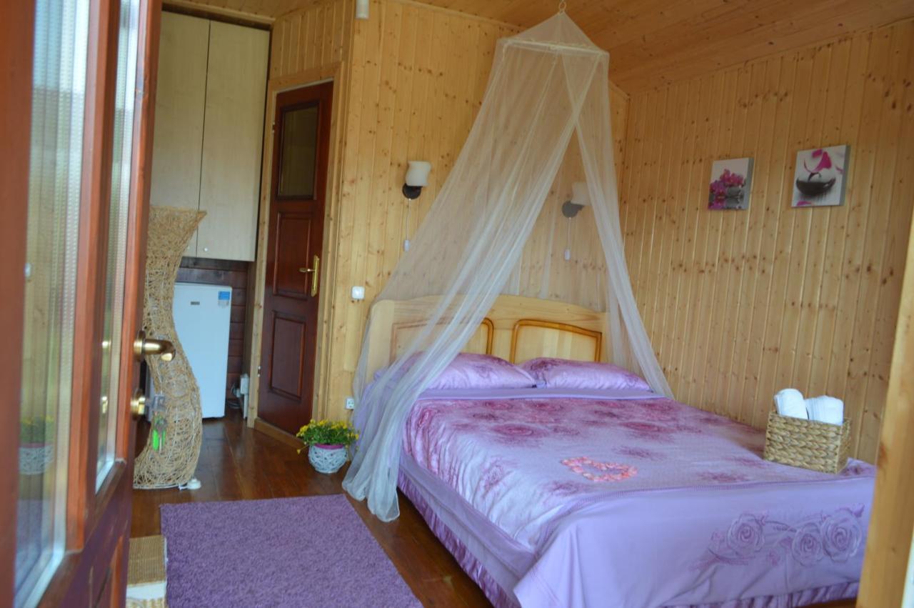 Cabane De Lemn Costinesti Luaran gambar