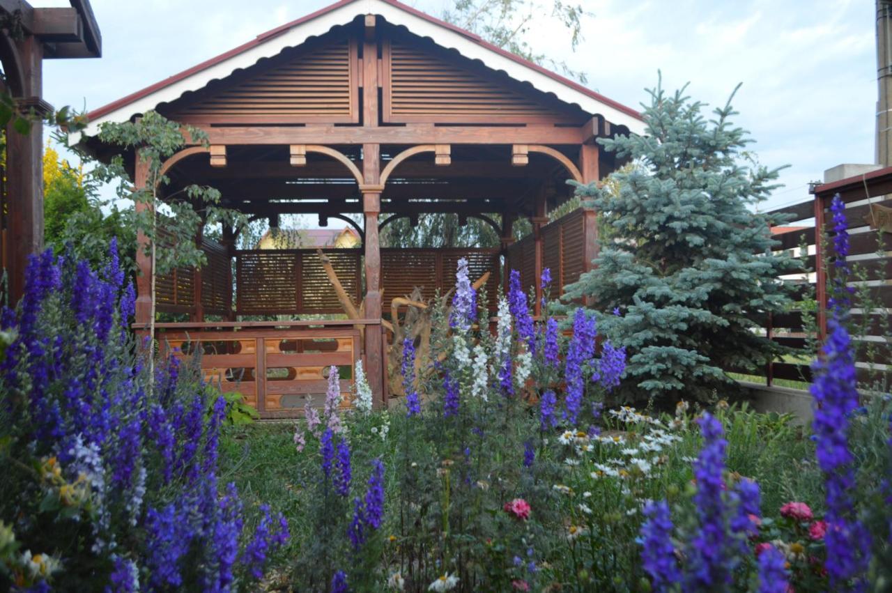 Cabane De Lemn Costinesti Luaran gambar