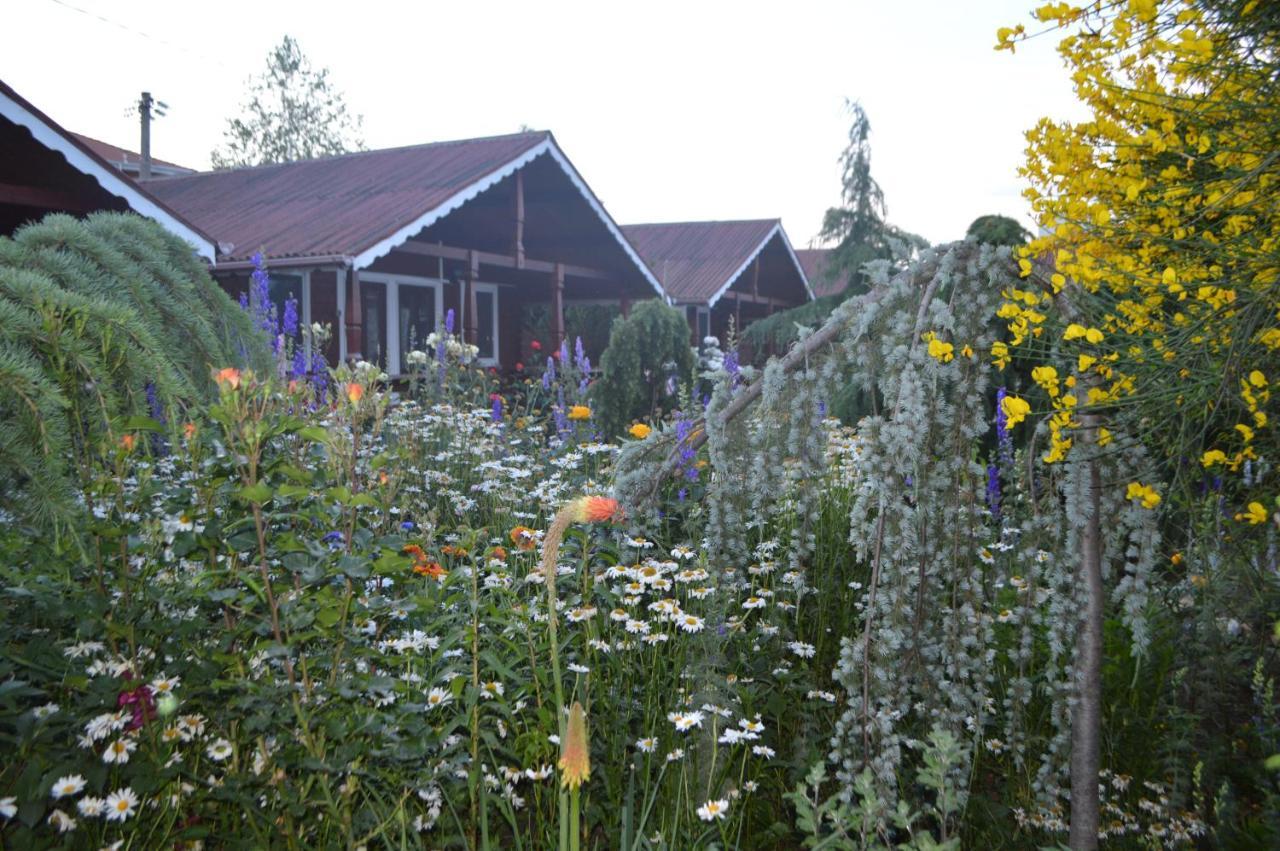 Cabane De Lemn Costinesti Luaran gambar