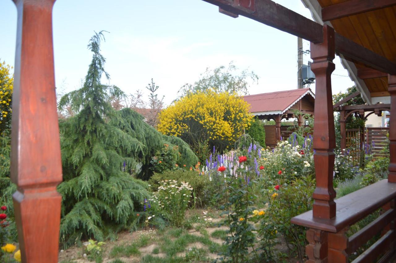 Cabane De Lemn Costinesti Luaran gambar