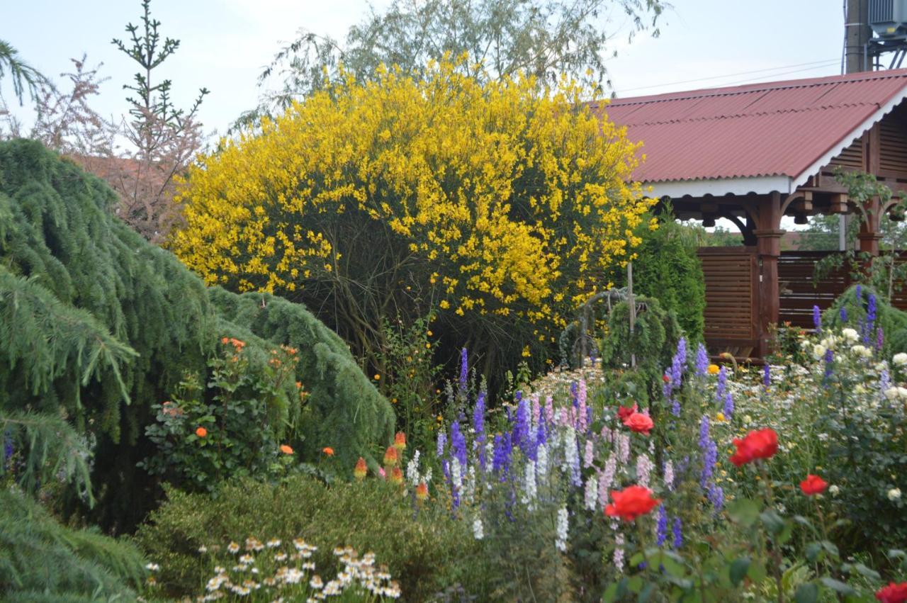 Cabane De Lemn Costinesti Luaran gambar