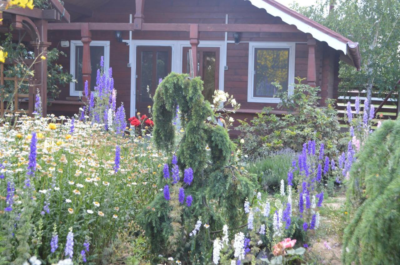 Cabane De Lemn Costinesti Luaran gambar